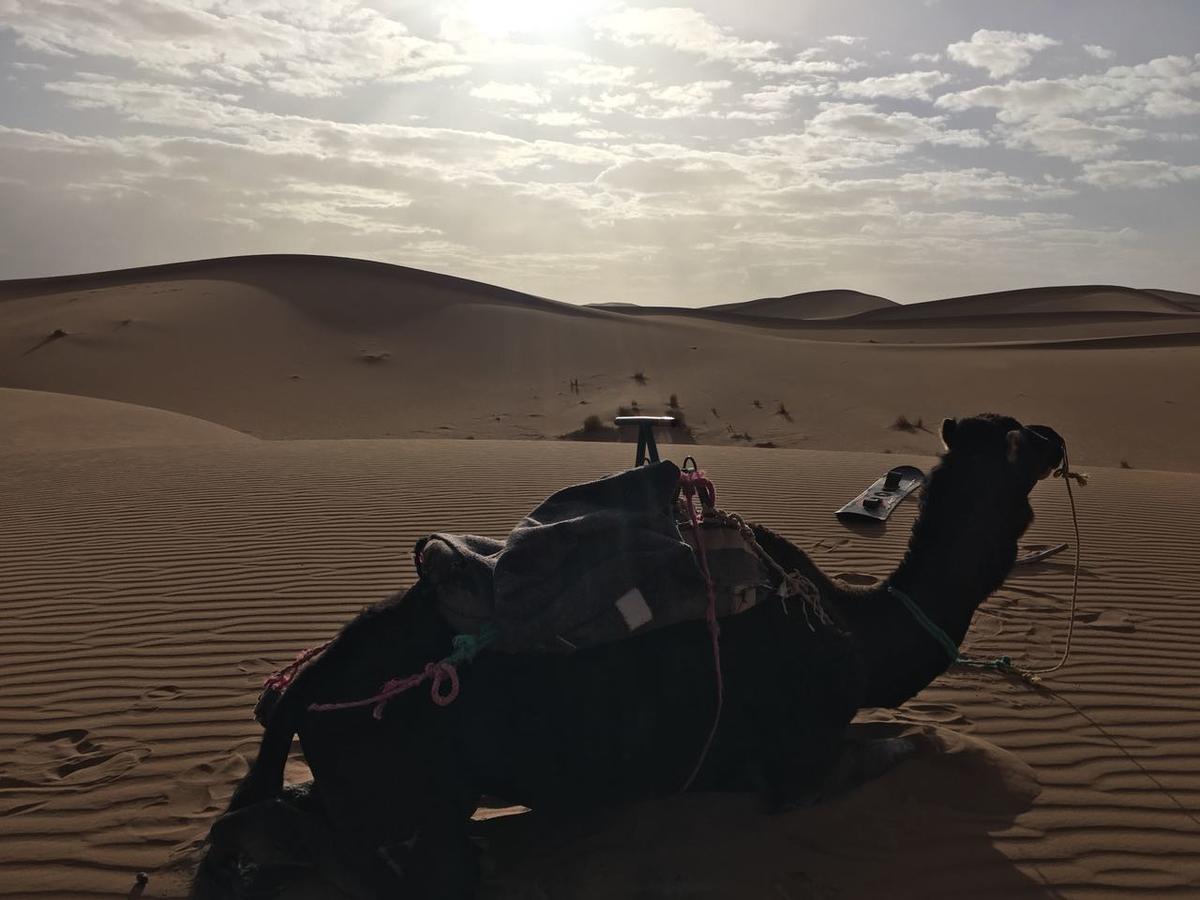 Camp Desert Stars M'Hamid Exterior foto